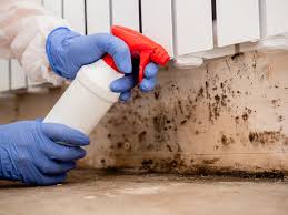 Sherwood Manor, CT Mold Inspection Company